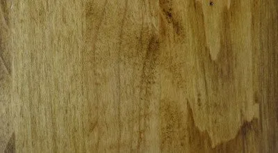Maple | Tii